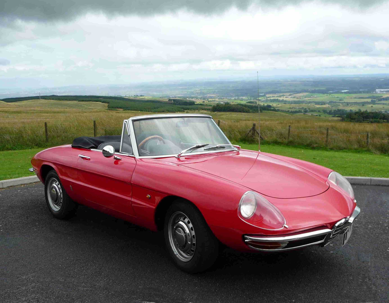 Illustration for article titled I saw a first gen Alfa Romeo Spider for the first time today